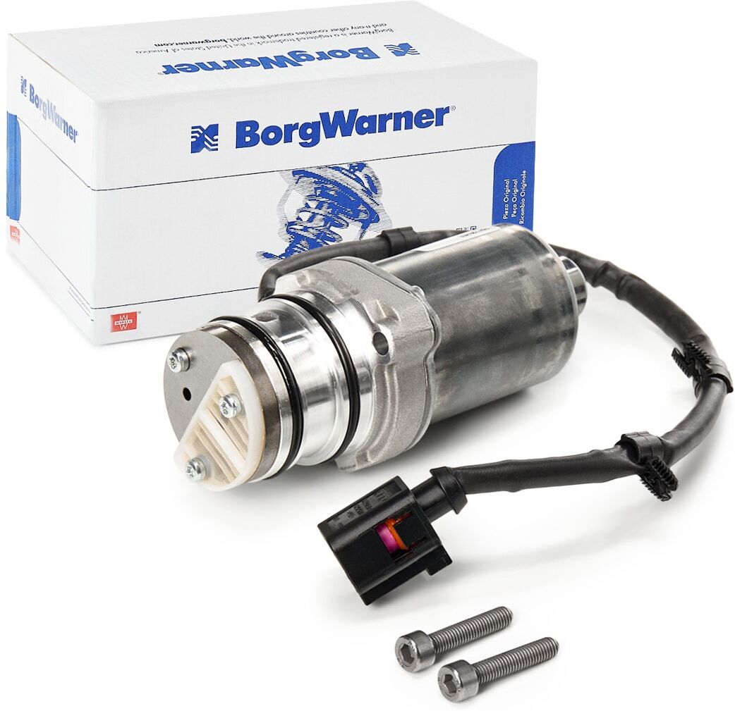 BorgWarner DS119866 Pumpe, Lamellenkupplung-Allradantrieb