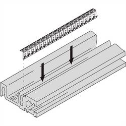 nVent SCHROFF 24576063 19 Zoll Netzwerkschrank-Schienen