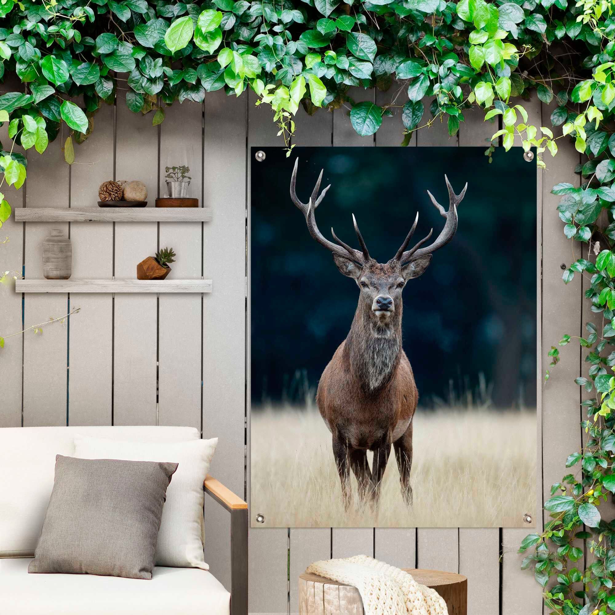Reinders! Poster REINDERS "Hirsch", braun (farbe bild(er): braun), B:60cm H:80cm T:0,1cm, Leinwand, Bilder, Poster farbe bild(er): braun B/H/T: 60cm x 80cm x 0,1cm