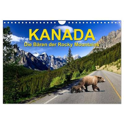 KANADA - Die Bären der Rocky Mountains (Wandkalender 2027 DIN A4 quer), CALVENDO Monatskalender