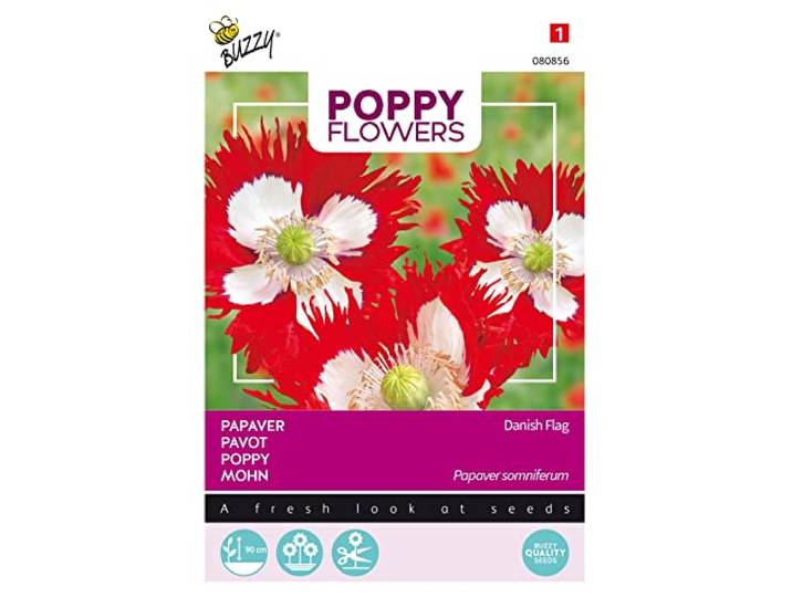 Buzzy Papaverbloemen Mohnblume