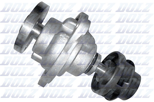 Dolz Wasserpumpe F203 Für Ford
