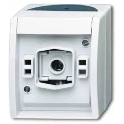 Busch-Jaeger Lichtsignal, mit E 10-Gewinde mit Schraubklemmen ocean® (IP 44) - grau / blaugrün