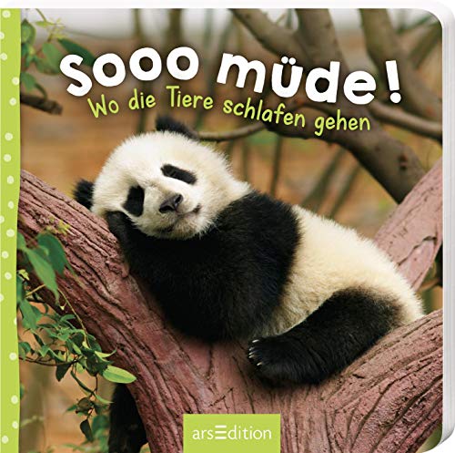 Sooo müde! - Wo die Tiere schlafen gehen - Preis vom 10.10.2026 11:48:34 h