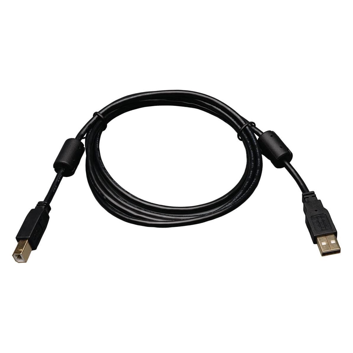 Eaton USB 2.0 A/B Cable with Ferrite Chokes M/M 6ft. 1,83m (1.83 m, USB 2.0) (U023-006)