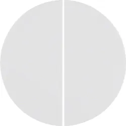 Berker 85648139 KNX-Funk Taste 4f quickl R.1/R.3 pw