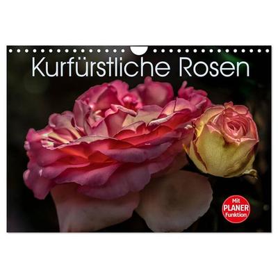 Kurfürstliche Rosen Eltville am Rhein (Wandkalender 2027 DIN A4 quer), CALVENDO Monatskalender
