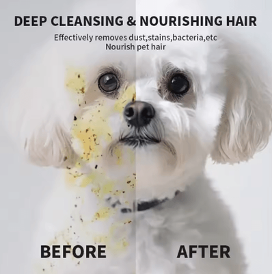 Inspire Picks Fresh Paws Extra Thick Pet Grooming Wipes Gloves 6 Pack Fresh Paws Extra Thick Pet Grooming Wipes Gloves 6 Pack