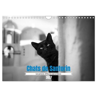 Chats de Santorin - Les princes d'Oia en noir et blanc (Calendrier mural 2027 DIN A4 vertical), CALVENDO calendrier mensuel