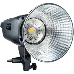 Walimex pro Emerger 400 Set Double (Set, 400 Ws), Studioblitz, Schwarz, Grau