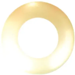 BEG 92236 Zubehör Abdeckring PD9 36mm goldfarbig BEG92236