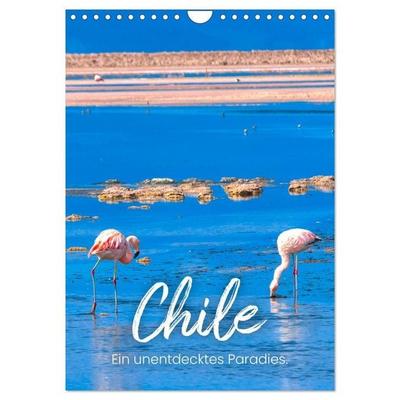 Chile - Ein unentdecktes Paradies. (Wandkalender 2027 DIN A4 hoch), CALVENDO Monatskalender