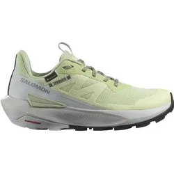 SALOMON Damen Multifunktionsschuhe SHOES ELIXIR ACTIV GTX W Celgre/Glacgr/P, Größe 38 in Grau Grau