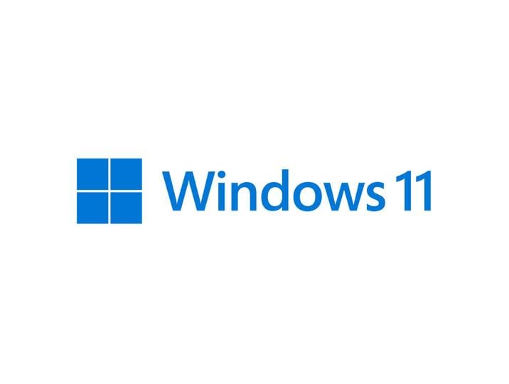 Microsoft Windows 11 Pro, Boîte, Produit complètement emballé (FPP), 1 licence(s), 64 Go, 4 Go, 1 GHz HAV-00156