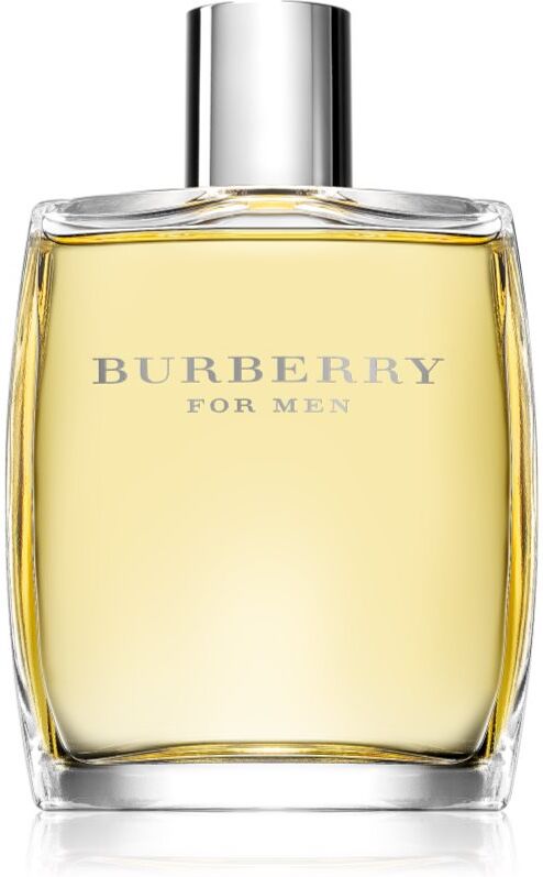 Burberry Burberry for Men Eau de Toilette für Herren 100 ml