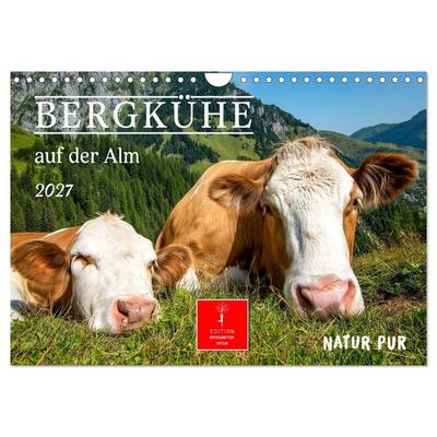 Bergkühe auf der Alm - Natur pur (Wandkalender 2027 DIN A4 quer), CALVENDO Monatskalender