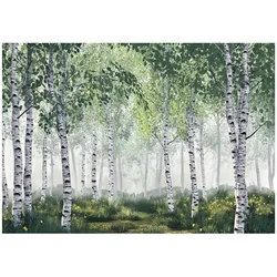 FOTOTAPETE 3D Effekt Wald Birken Bäume Tapete Wohnzimmer 150x105