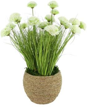 Creative Labs Dahlias and Grass in Rope Pot
