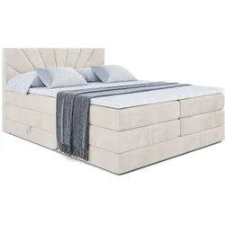 BOXSPRINGBETT MILTIO KING - 140x200 - H3/H4 - Creme