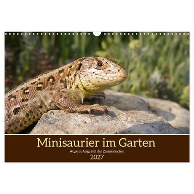 Minisaurier im Garten (Wandkalender 2027 DIN A3 quer), CALVENDO Monatskalender
