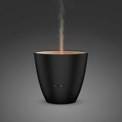 Stadler Form Zoe black Aroma-Lufterfrischer Schwarz Z-002