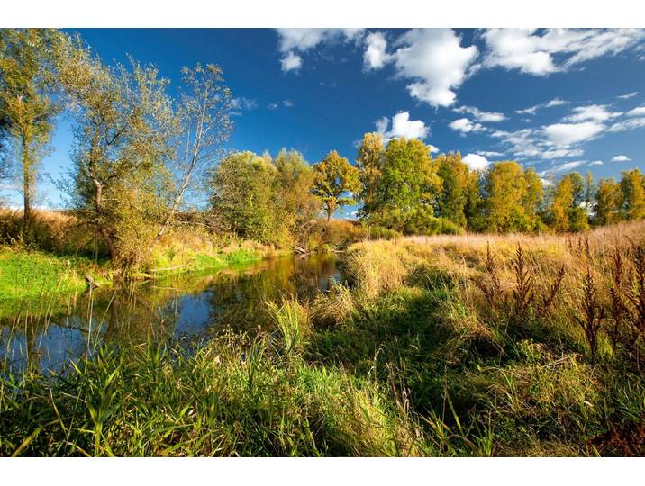 Papermoon Fluss durch Feld