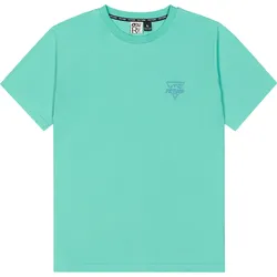 PICTURE ADAK T-Shirt 2026 wasabi - S