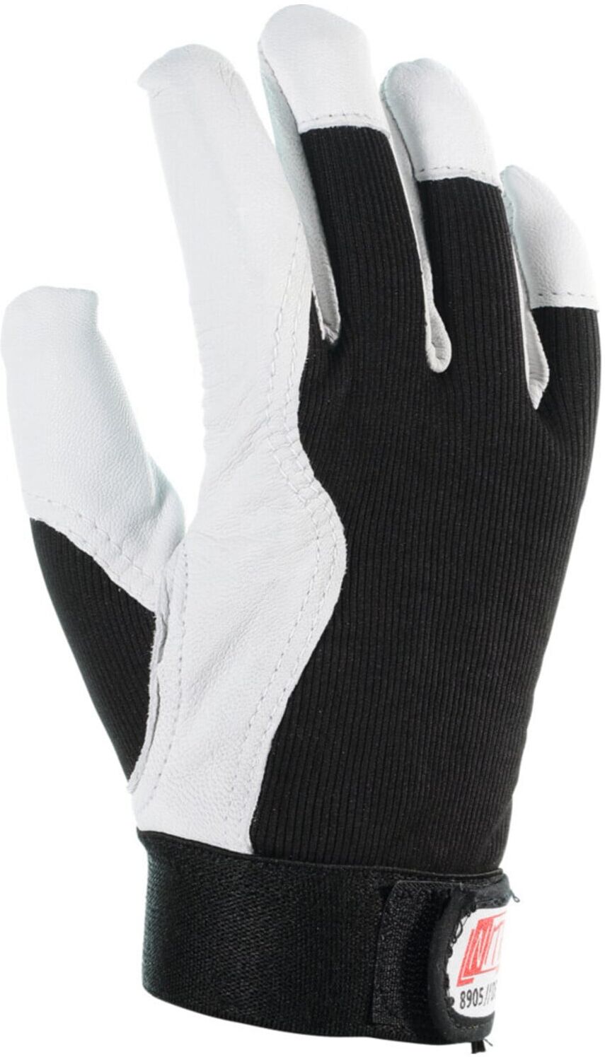 Nitras Driver-Handschuh-Paar, ungefüttert 8905, DEXTER 1, Handschuhgröße: 11 (8905, GR. 11)