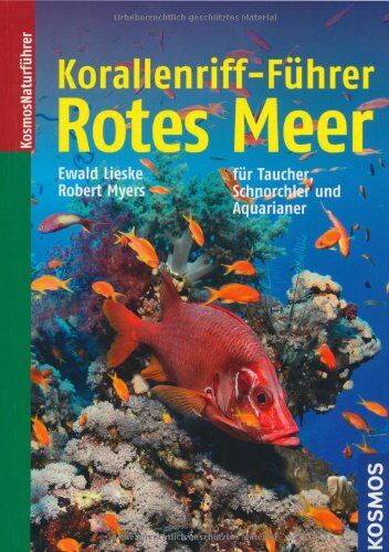 Ewald Lieske - Korallenriff-Führer Rotes Meer: Ein Bestimmungsbuch für Taucher, Schnorchler und Aquarianer - Preis vom 04.10.2026 03:51:26 h