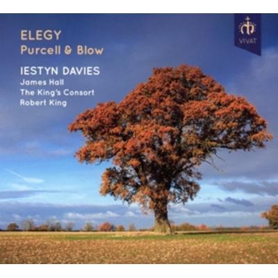 Elegy - Countertenor Duets - Davies,Hall,King,The Kings Consort, CD