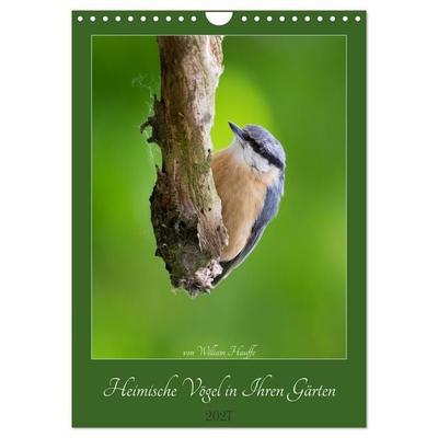 Heimische Vögel in Ihren Gärten (Wandkalender 2027 DIN A4 hoch), CALVENDO Monatskalender