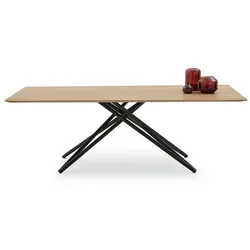 Musterring Esstisch Helmond 220 x 100cm Holz Braun Wildeiche