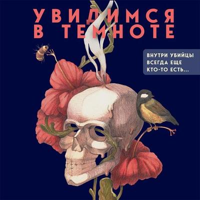 Uvidimsya v temnote - Viktoriya Platova, Audio, 9785041297800