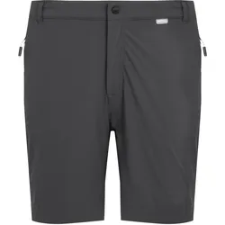 Regatta, Herren, Outdoorhose, Mountain II Hose kurz (42, 48), Grau