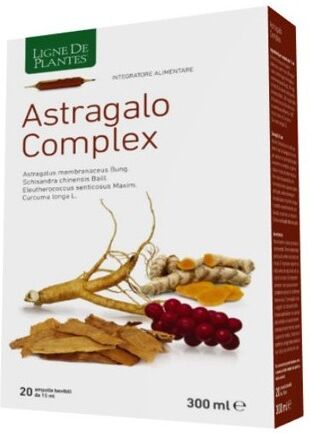 NATURA SERVICE Srl Astragalo Complex Ampolle Integratore Alimentare - Difese Naturali, Benessere Generale