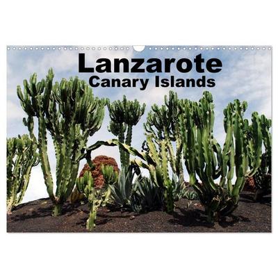 Lanzarote - Canary Islands (Wall Calendar 2026 DIN A3 landscape), CALVENDO 12 Month Wall Calendar