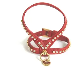 Carlain AGN Strass (12, Hund, Spazieren), Halsband + Leine