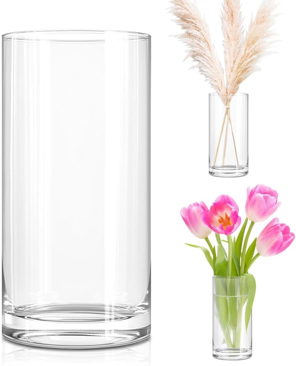 SnelShoppen Grote Heldere Glazen Cylinder Vaas, Hoogte: 25 cm
