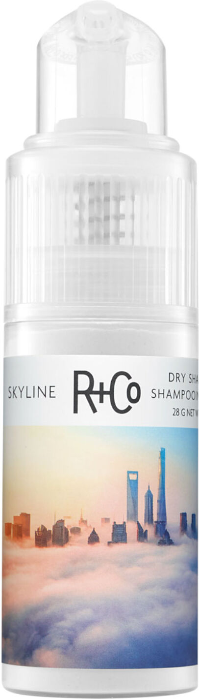R+CO Skyline Dry Shampoo Powder