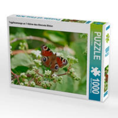 CALVENDO Puzzle Tagpfauenauge an 7-Söhne-des-Himmels Blüten 1000 Teile Lege-Größe 64 x 48 cm Foto-Puzzle Bild von Christine B-B Müller