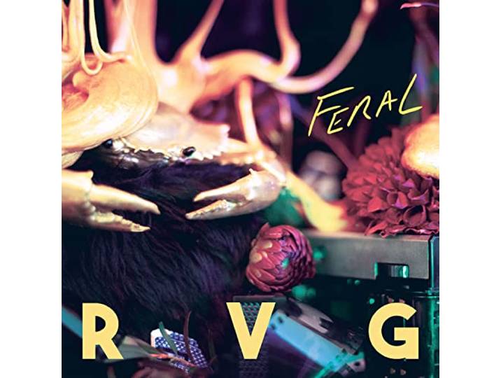 Feral (Orange)