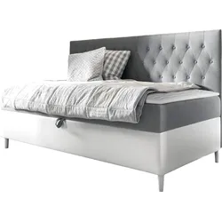 BOXBETT Filip Junior 2 - H3