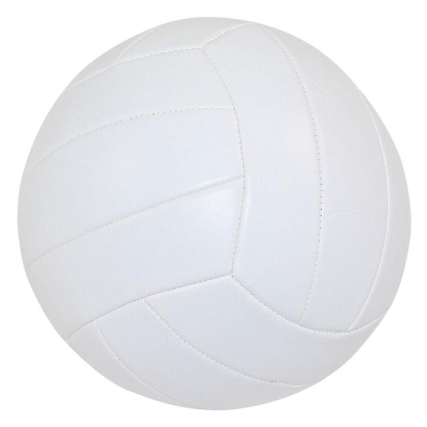 Victoria Volleyball-Profi (5) (1045375)