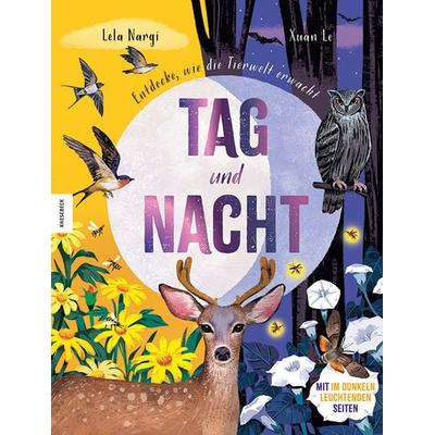 Tag und Nacht, Gebundene Ausgabe von Lela Nargi, Knesebeck, 978-3-95728-849-3
