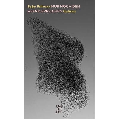Nur noch den Abend erreichen, Gebundene Ausgabe von Fedor Pellmann, Jung u. Jung, 978-3-99027-400-2