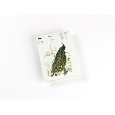 Birds, Sonstige von Pepin van Roojen, Pepin Press, 978-94-6009-356-2