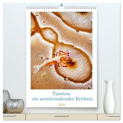 Tauchen, ein atemberaubendes Erlebnis (hochwertiger Premium Wandkalender 2026 DIN A2 hoch), Kunstdruck in Hochglanz