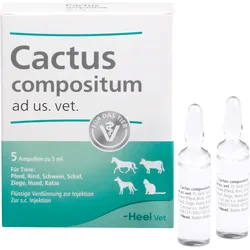 Cactus Comp Vet 5 ST