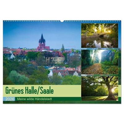 Grünes Halle/Saale - Meine wilde Händelstadt (Wandkalender 2026 DIN A2 quer), CALVENDO Monatskalender