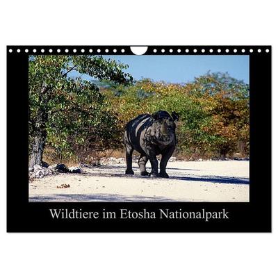 Wildtiere im Etosha Nationalpark (Wandkalender 2027 DIN A4 quer), CALVENDO Monatskalender